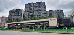 bukit-batok-street-23 photo thumbnail #14